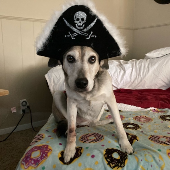 Howdy from Texas, ya’ll - Picture 2 of 7